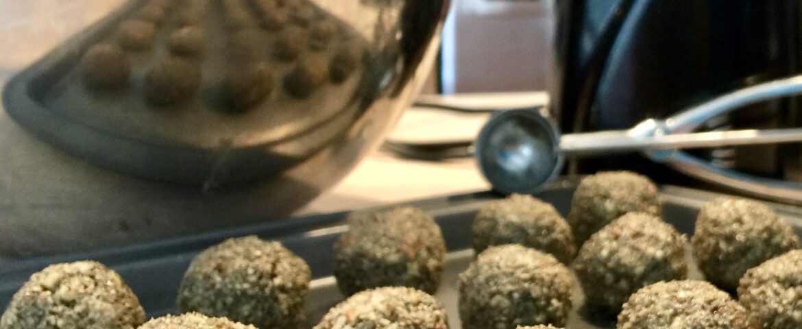 Recipes for 2 No-Bake Hemp Protein Balls