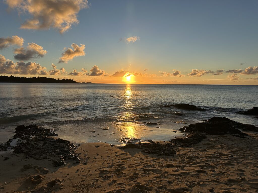 Hemp Solutions for Plastic Pollution