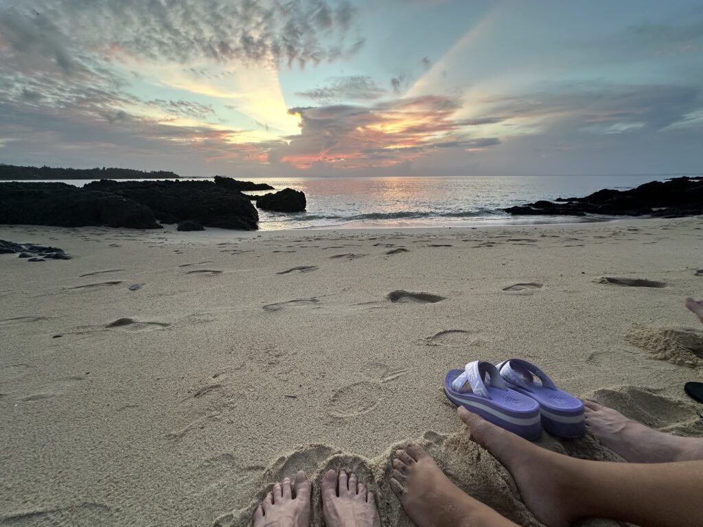 Hemp Solutions for Plastic Pollution