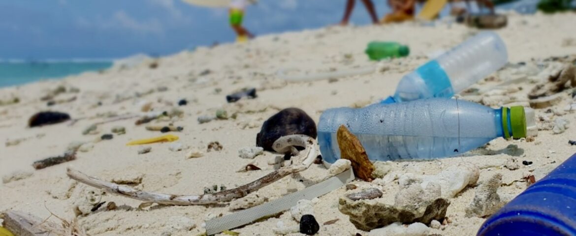 Hemp Solutions for Plastic Pollution: