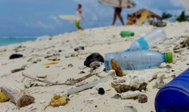 Hemp Solutions for Plastic Pollution: