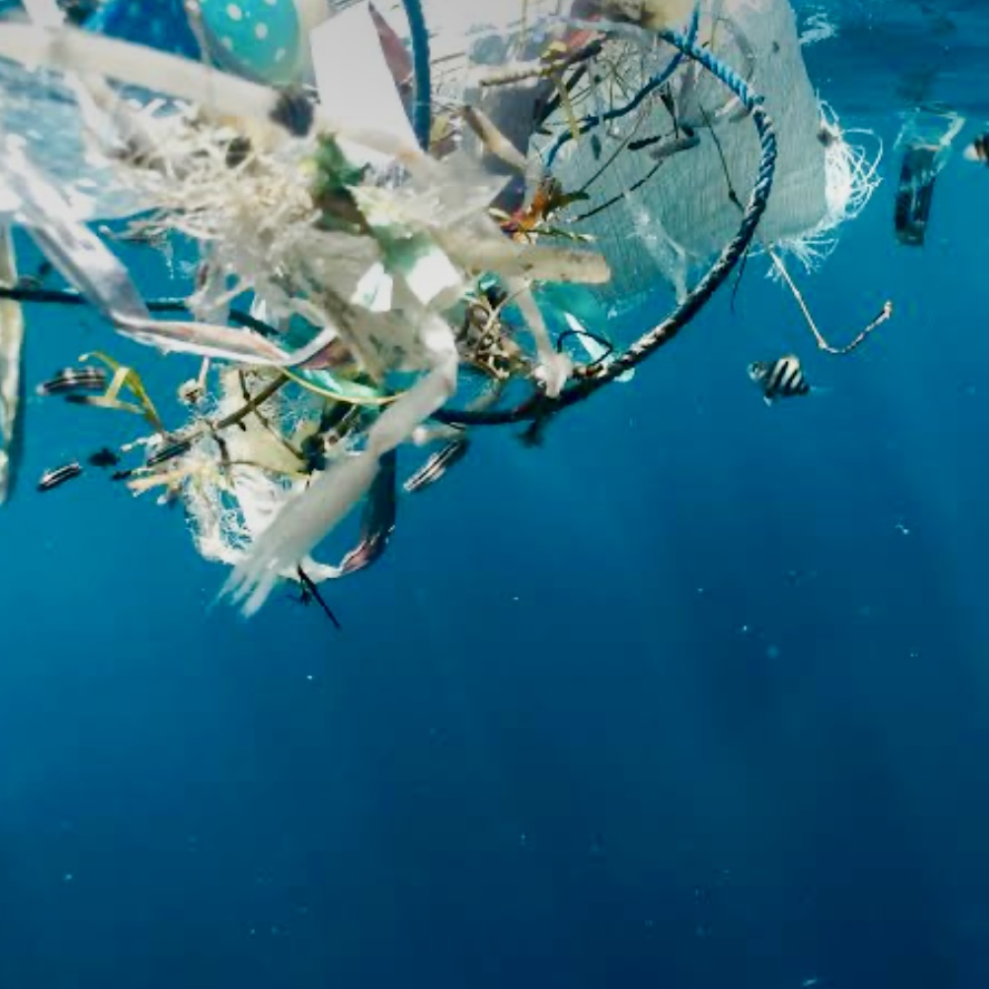 Hemp Solutions for Plastic Pollution