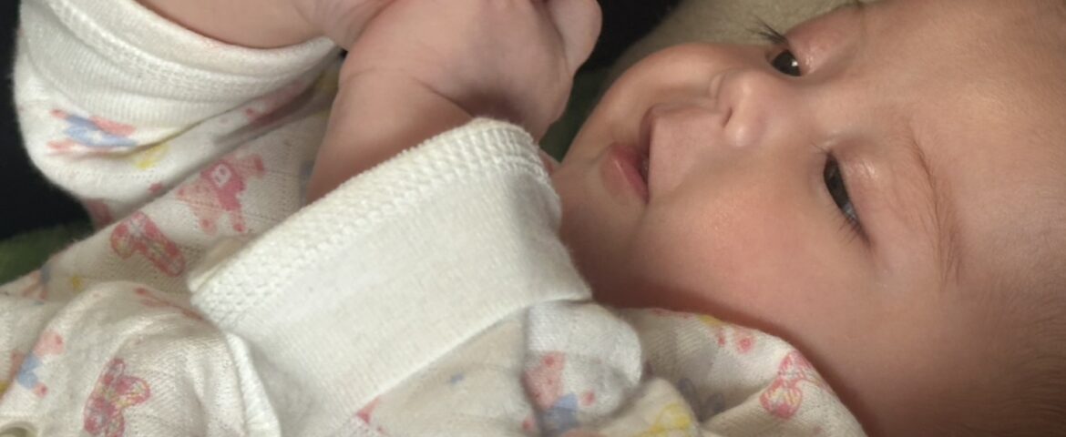 Hemp Seed Brain Health: The Tasty Way to Boost Your Mind Power