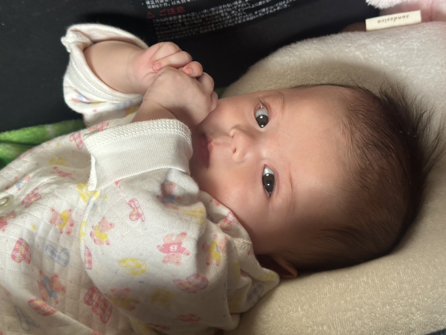 hemp seed brain health from an early age